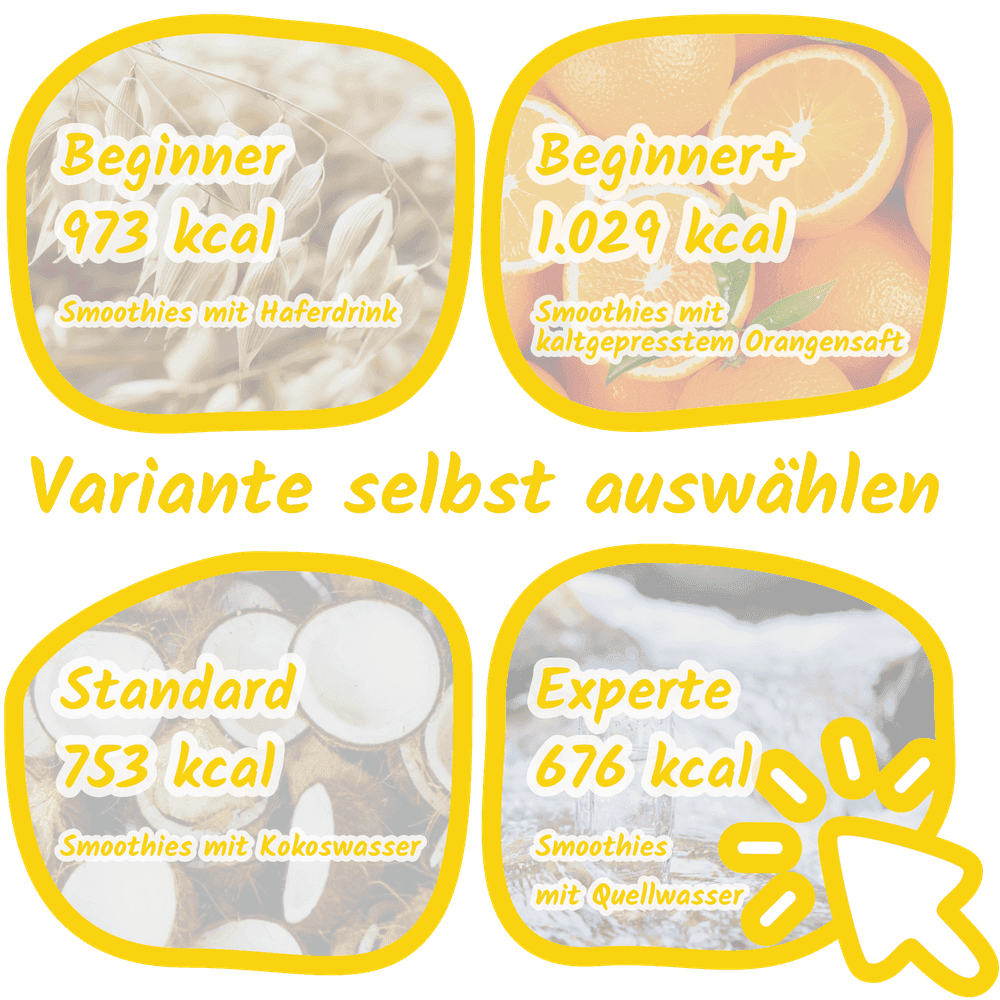 Smoothies mit Fasern vs. Saft ohne Ballaststoffe Smoothie-Intervallfasten Varianten im Vergleich