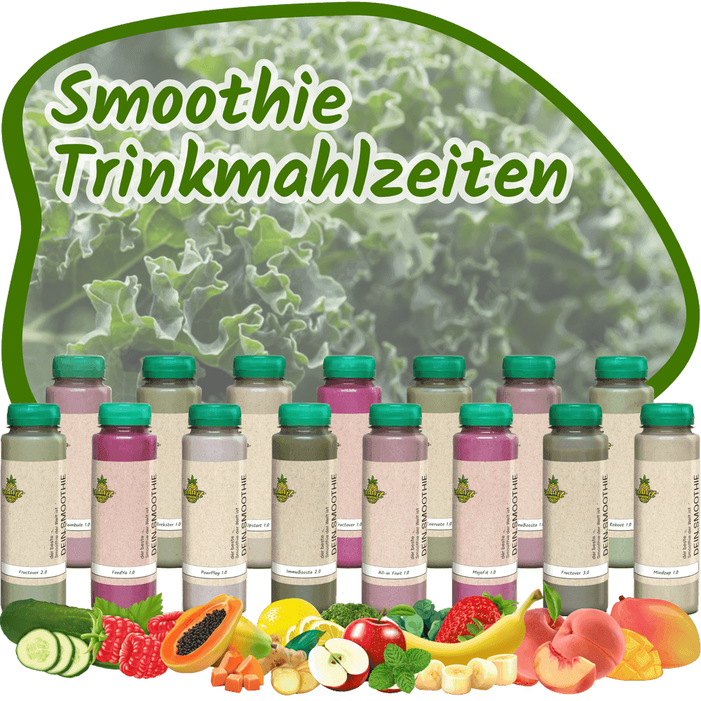 Smoothie-Trinkmahlzeiten von Indivit – 14 Sorten im Überblick Smoothie-Trinkmahlzeiten Sortiment mit mehreren Flaschen